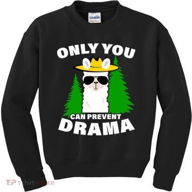 Only You Can Prevent Drama Kids Sweatshirt