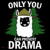 Only You Can Prevent Drama Funny LLama Ornament thumb 1