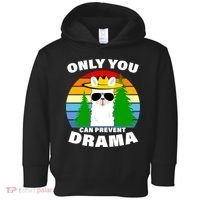 Only You Can Prevent Drama Llama Toddler Hoodie thumb 0