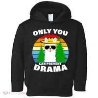 Only You Can Prevent Drama Llama Toddler Hoodie thumb 0