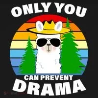 Only You Can Prevent Drama Llama Women's T-Shirt thumb 6