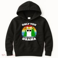 Only You Can Prevent Drama Llama Kids Hoodie thumb 0