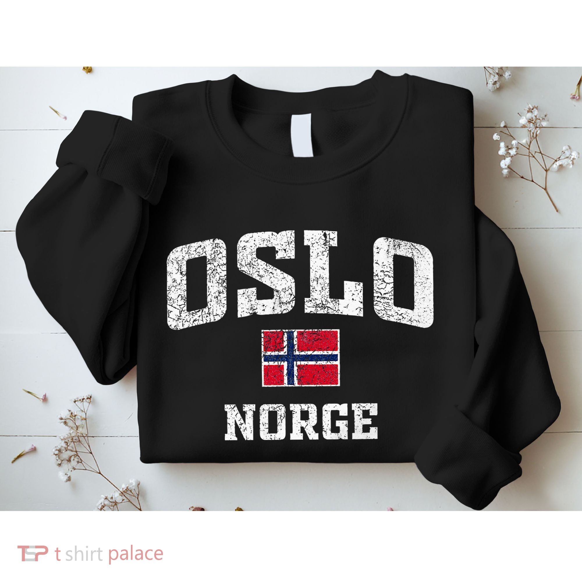 Oslo Norge Norway Sweatshirt