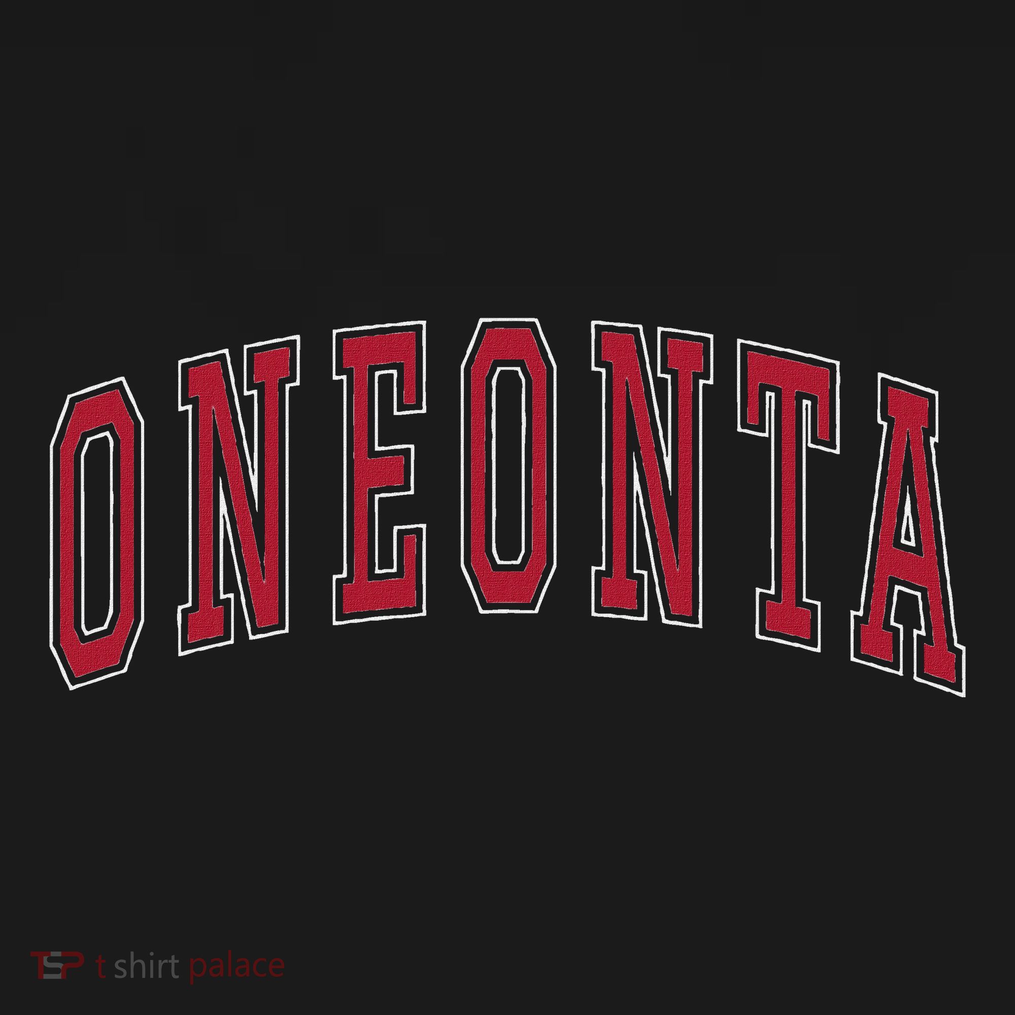 Oneonta New York Souvenir College Style Red Text Long Sleeve Shirt