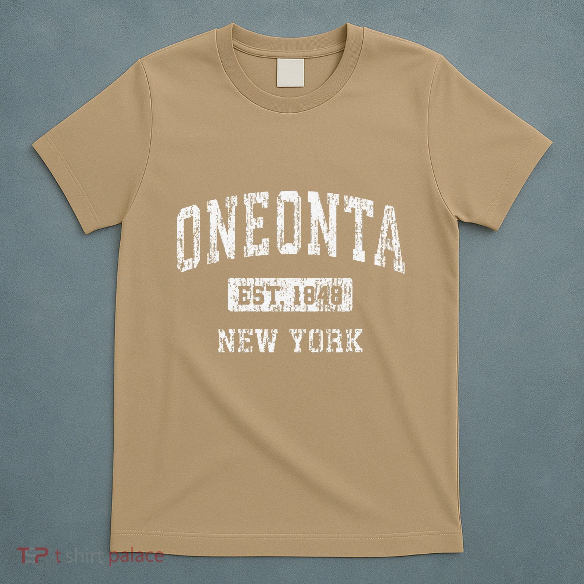 Oneonta New York Ny Vintage Established T-Shirt