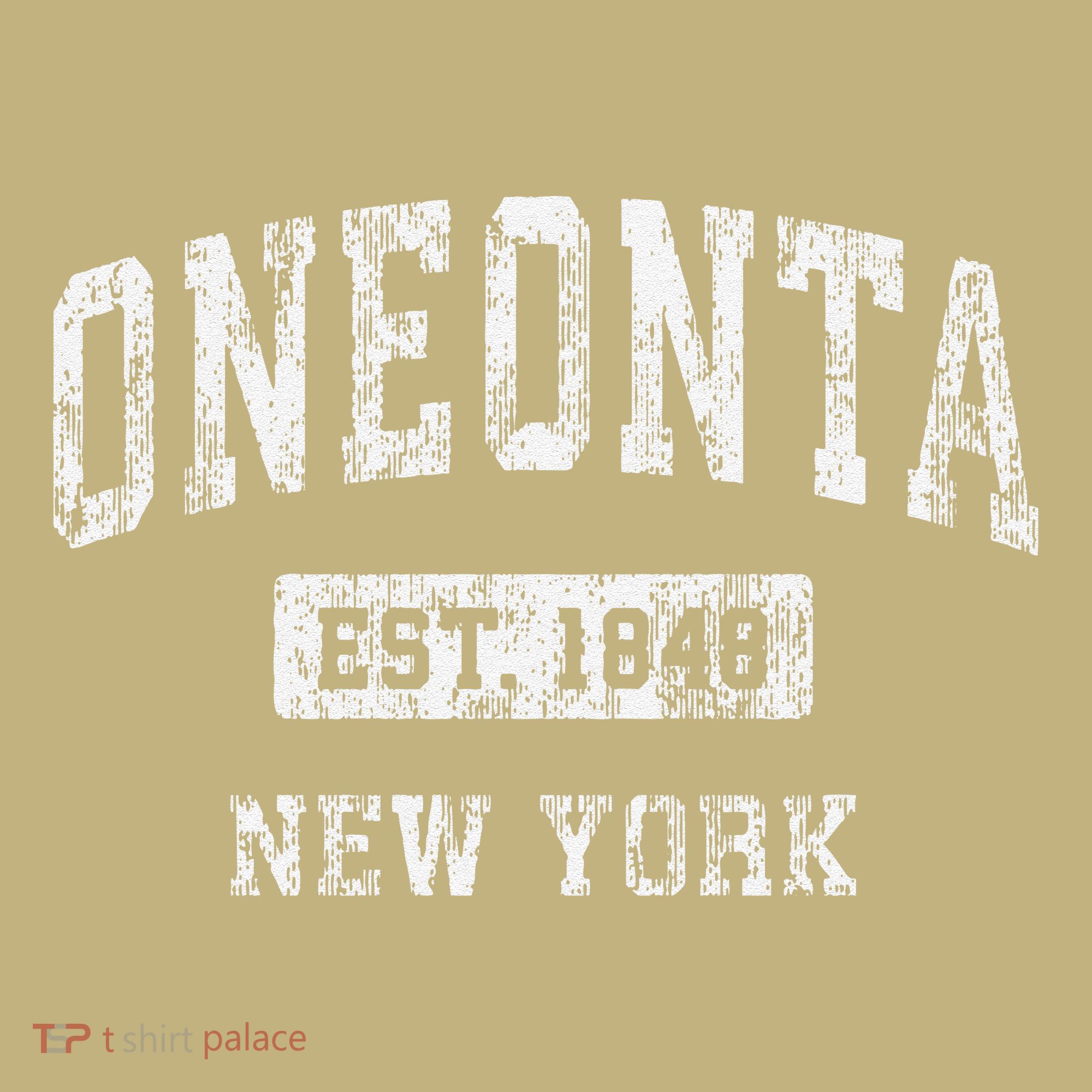 Oneonta New York Ny Vintage Established T-Shirt