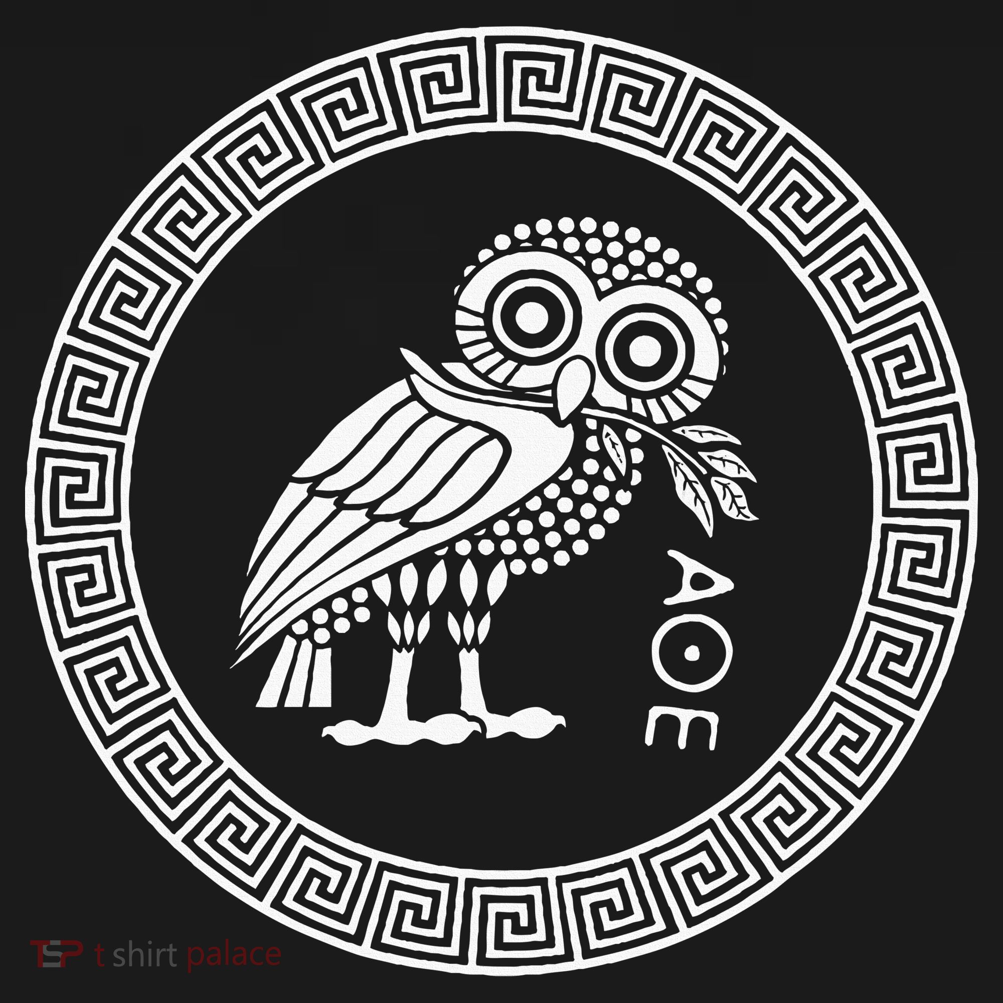 Owl Of Athena Women's T-Shirt