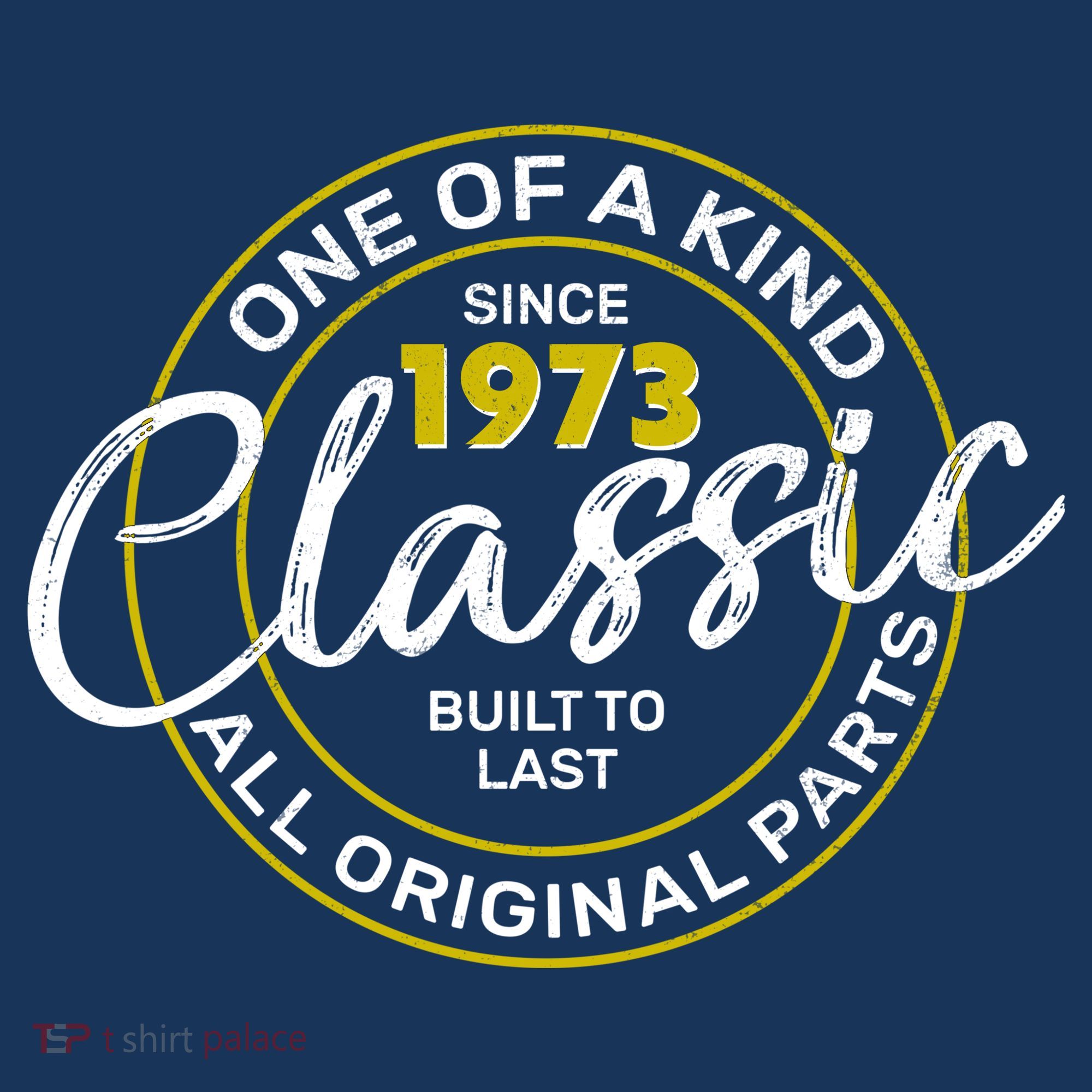 One Of A Kind Since 1973 Classic 50th Birthday T-Shirt