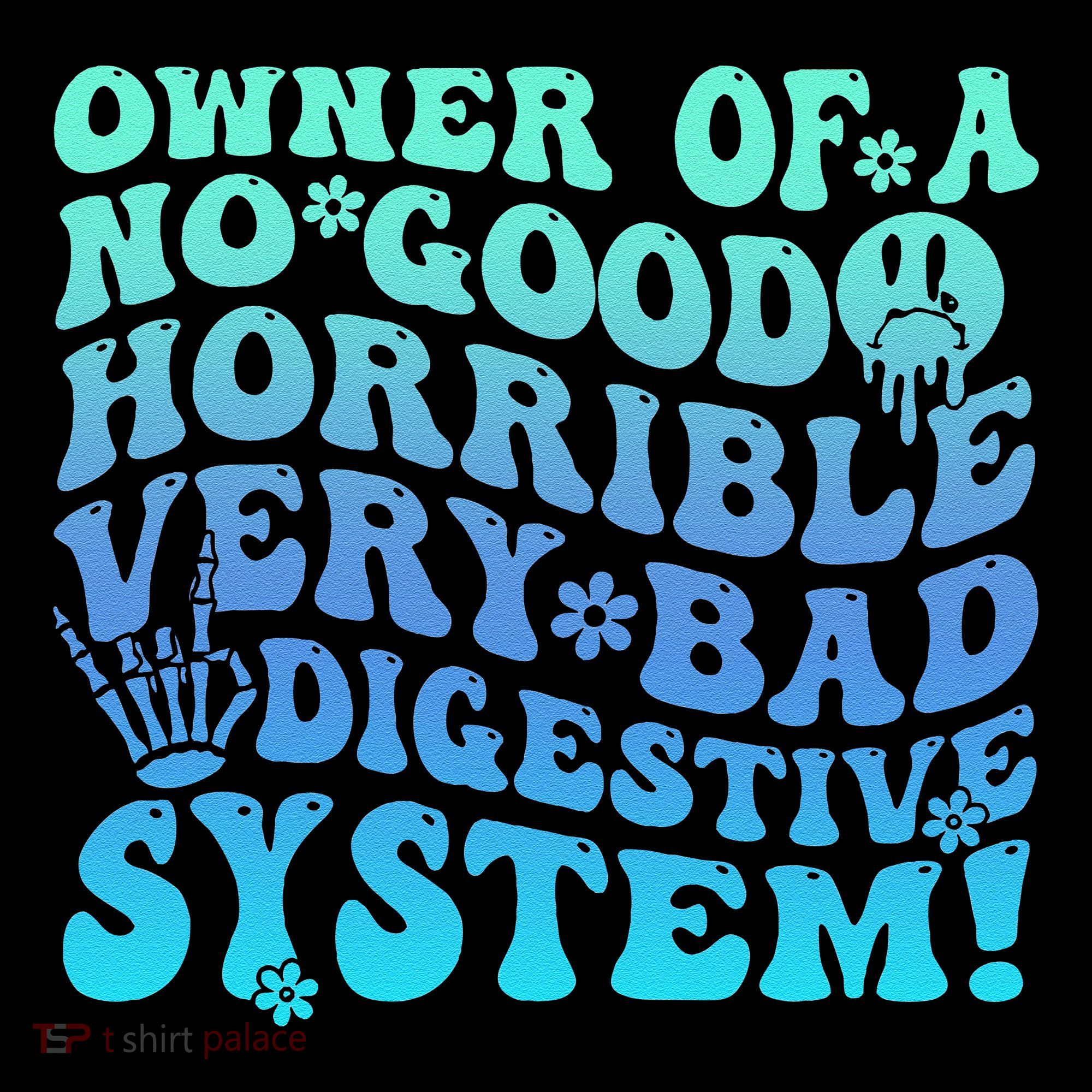 Owner Of A No Good Horrible Very Bad Digestive System Coffee Mug