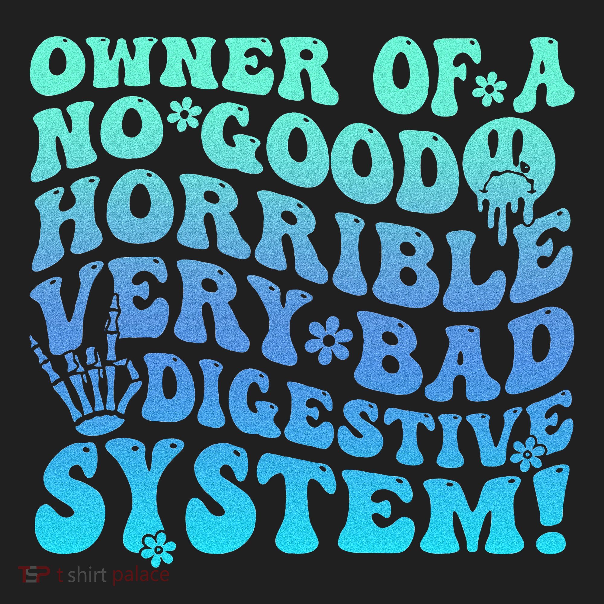 Owner Of A No Good Horrible Very Bad Digestive System Beanie