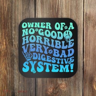 Owner Of A No Good Horrible Very Bad Digestive System Coaster