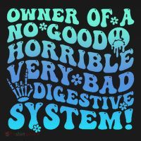 Owner Of A No Good Horrible Very Bad Digestive System Women's Hoodie thumb 2
