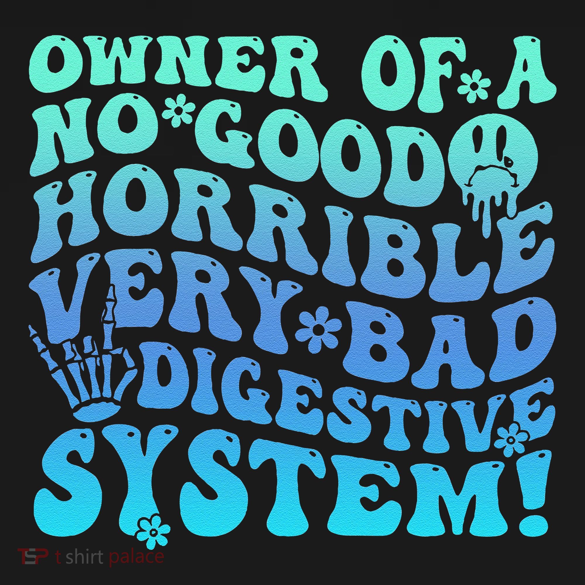 Owner Of A No Good Horrible Very Bad Digestive System Women's Hoodie