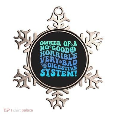 Owner Of A No Good Horrible Very Bad Digestive System Ornament