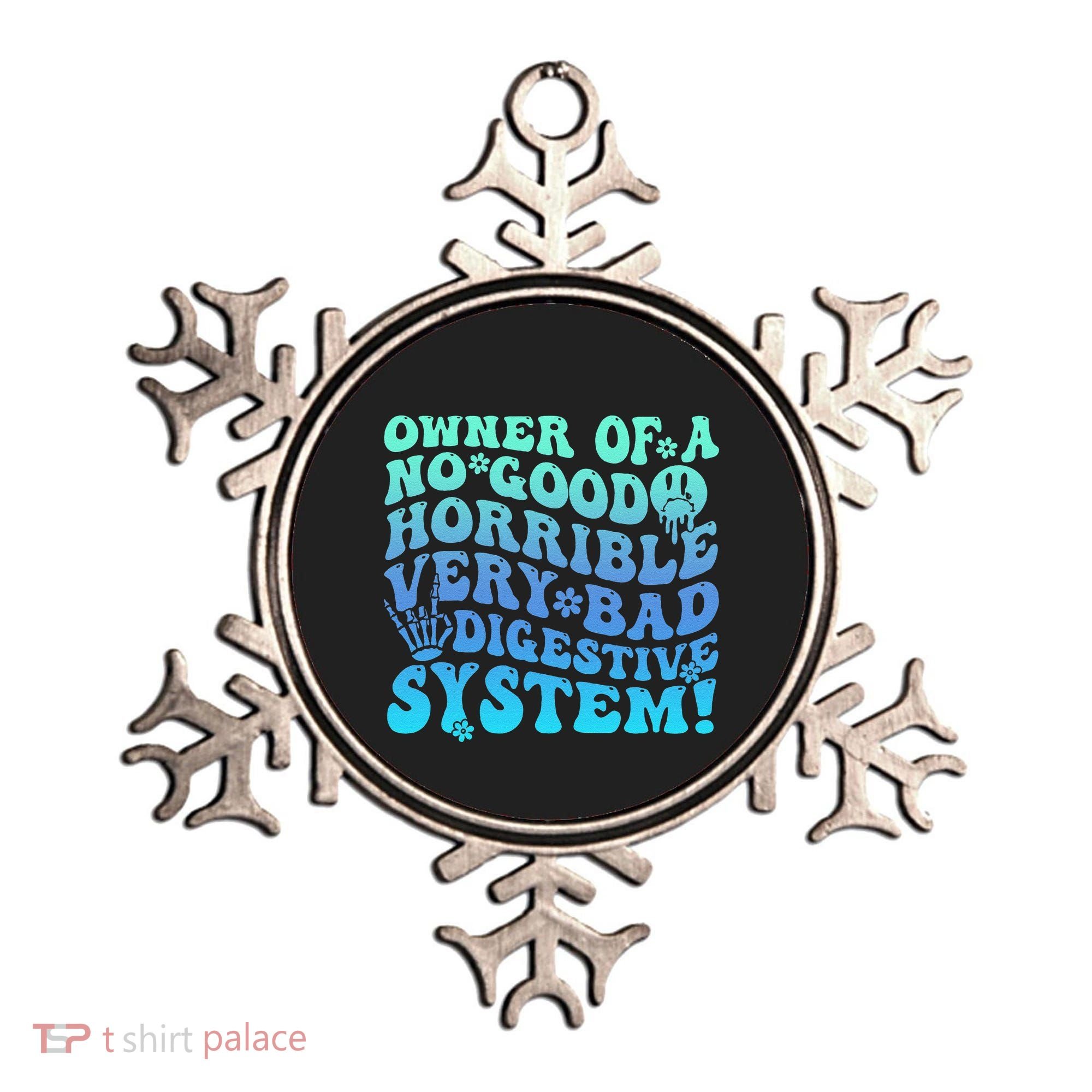 Owner Of A No Good Horrible Very Bad Digestive System Ornament