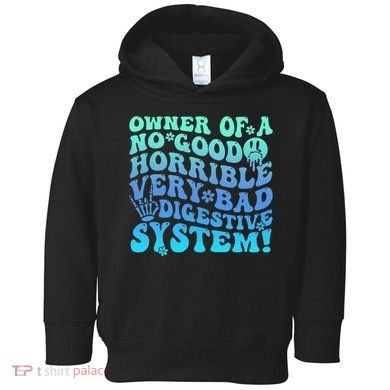 Owner Of A No Good Horrible Very Bad Digestive System Toddler Hoodie