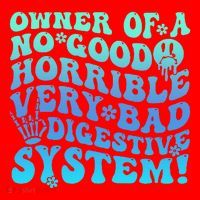 Owner Of A No Good Horrible Very Bad Digestive System Santa Hat thumb 1