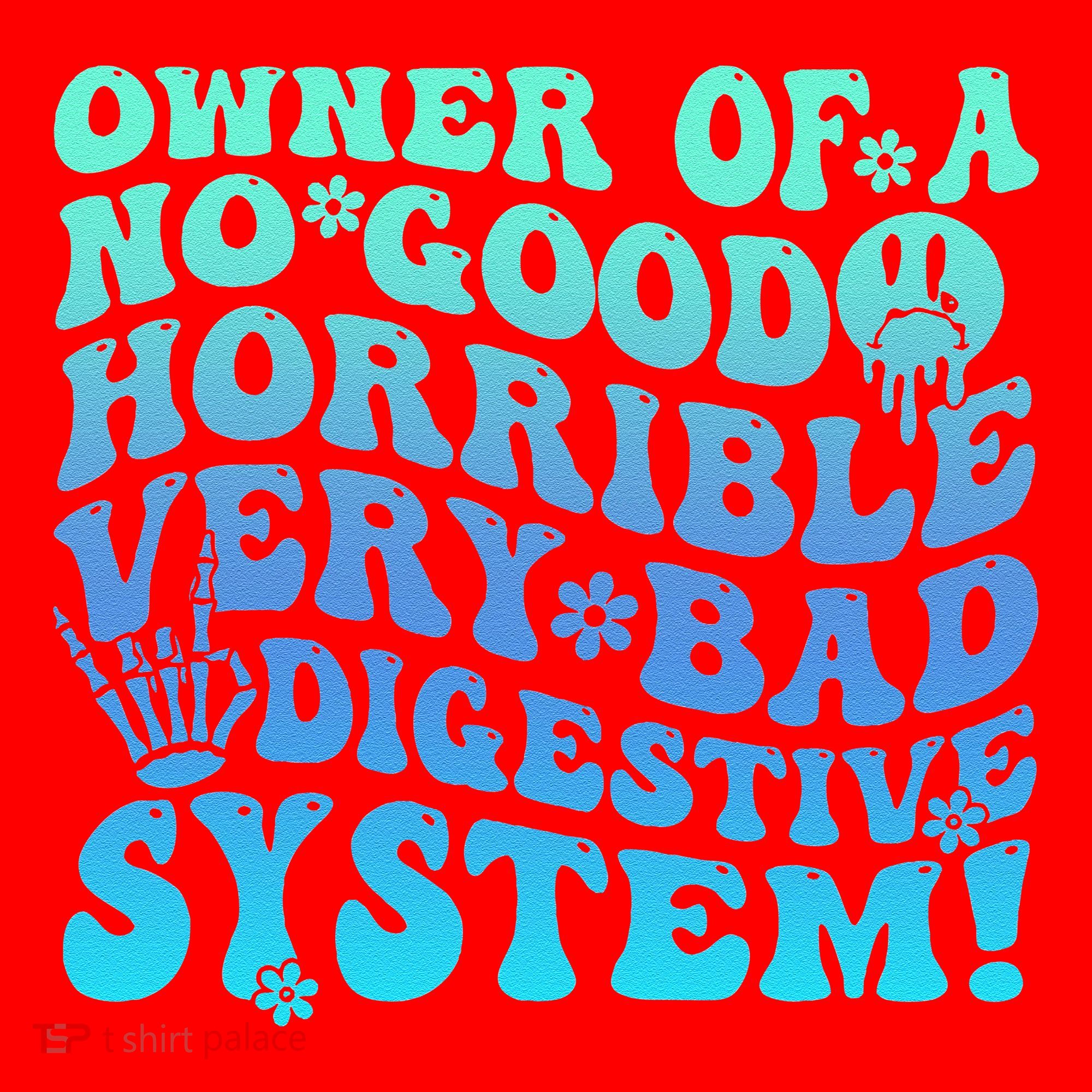Owner Of A No Good Horrible Very Bad Digestive System Santa Hat