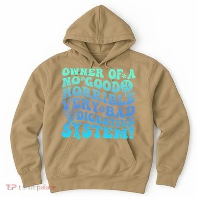 Owner Of A No Good Horrible Very Bad Digestive System Hoodie
