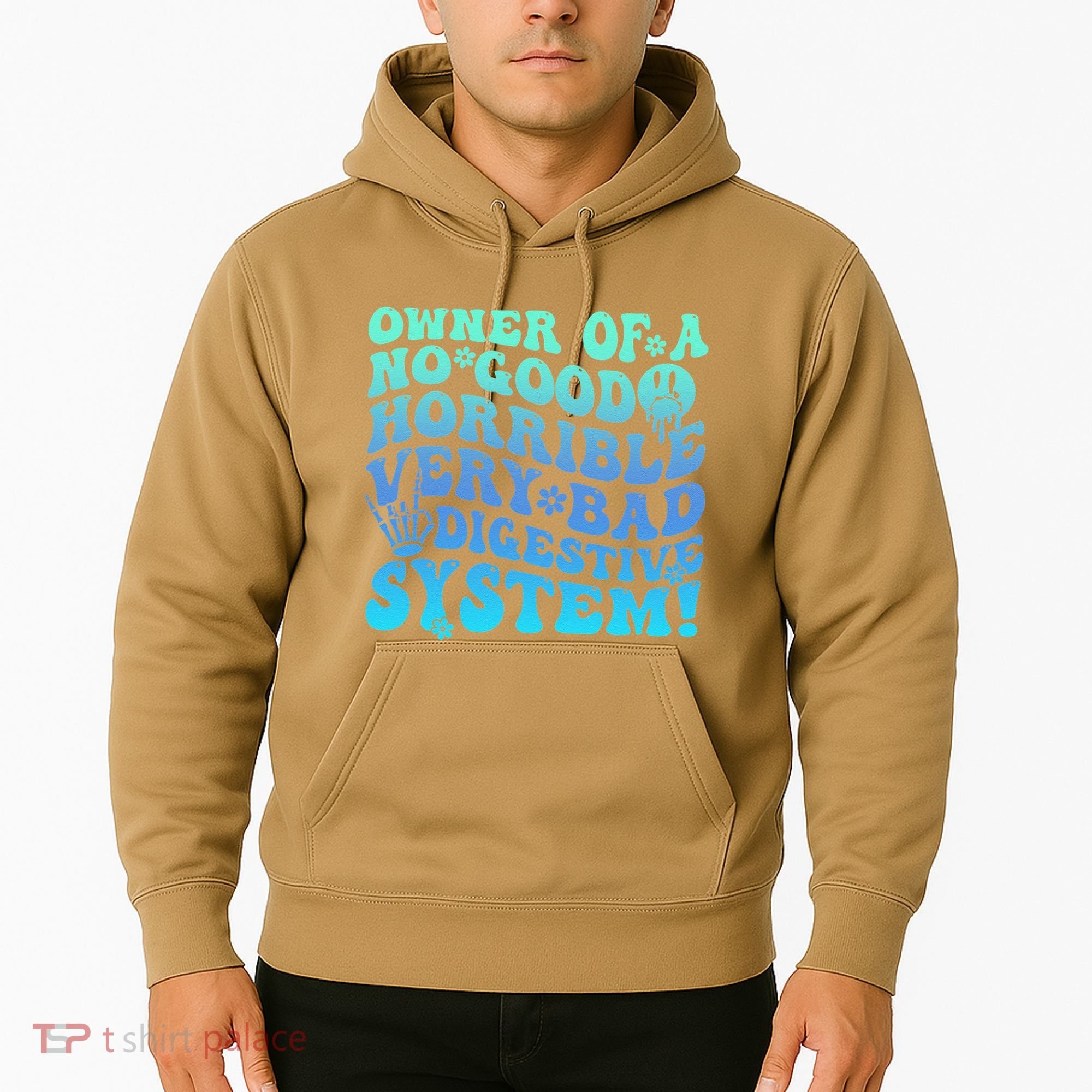 Owner Of A No Good Horrible Very Bad Digestive System Hoodie