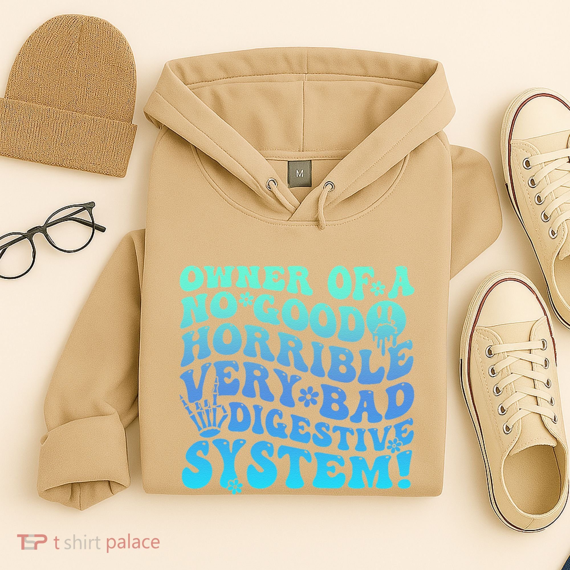 Owner Of A No Good Horrible Very Bad Digestive System Hoodie