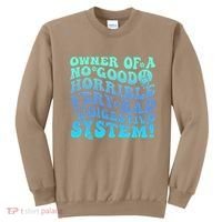 Owner Of A No Good Horrible Very Bad Digestive System Sweatshirt thumb 0