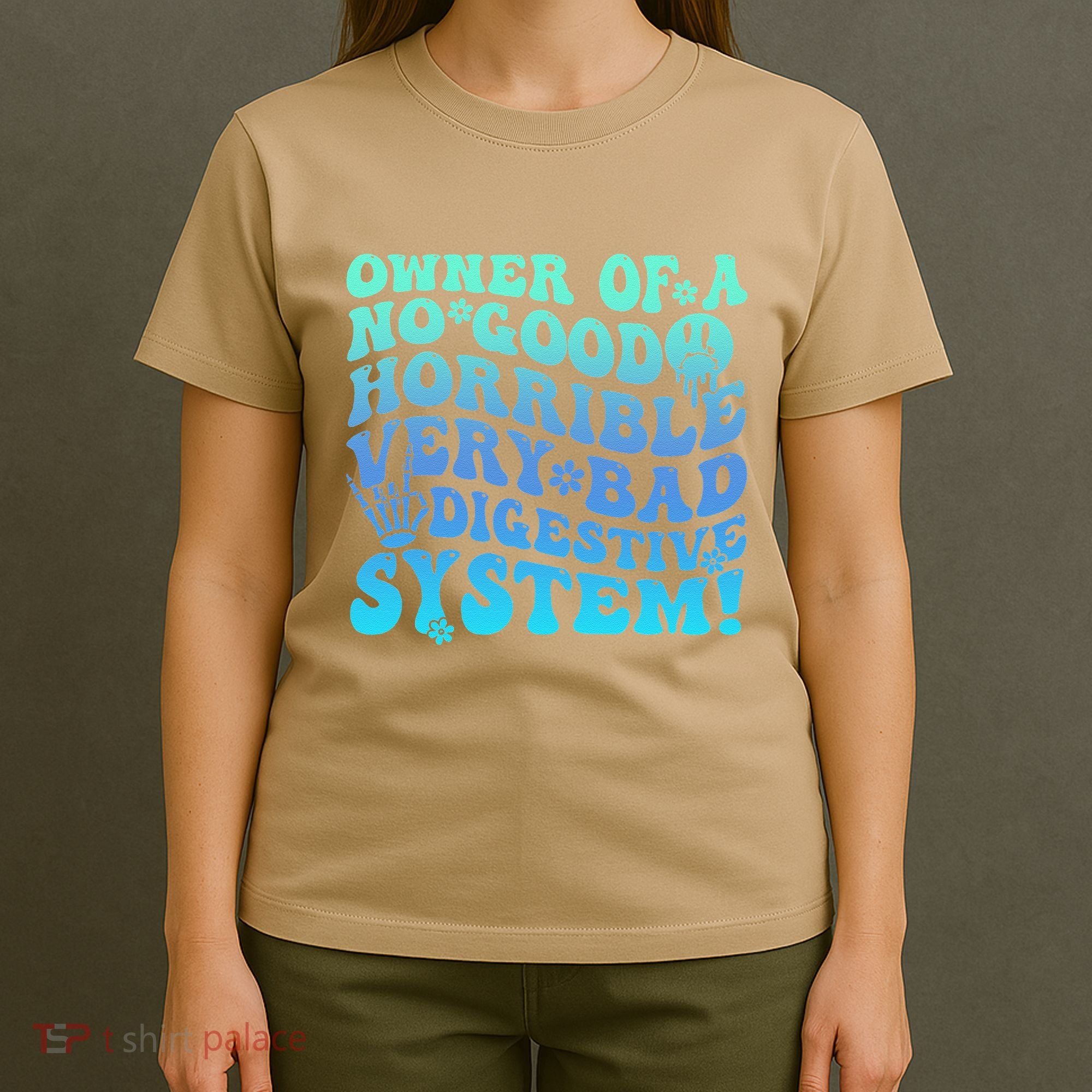 Owner Of A No Good Horrible Very Bad Digestive System T-Shirt