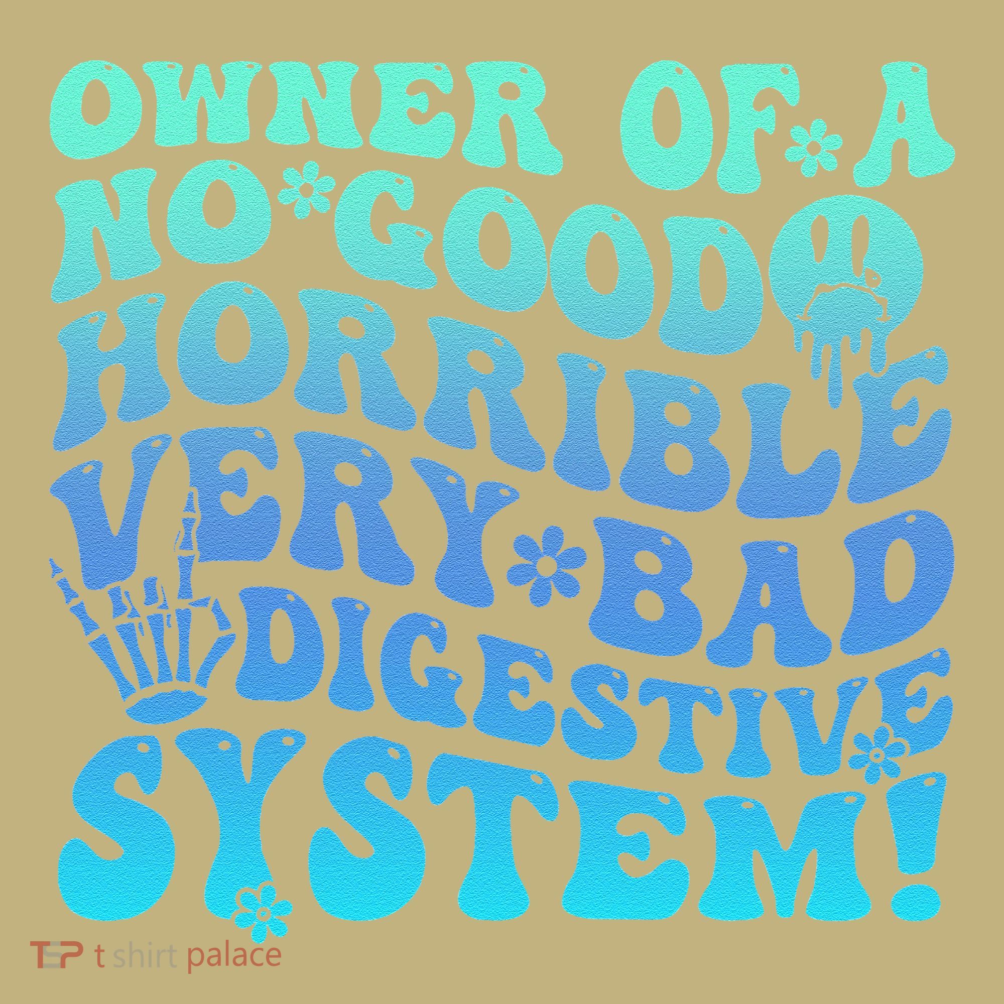 Owner Of A No Good Horrible Very Bad Digestive System T-Shirt