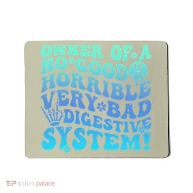 Owner Of A No Good Horrible Very Bad Digestive System Mousepad
