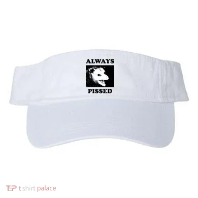 Visor