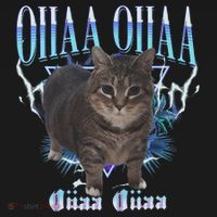 Oiia Oiia Cat Brainrot Pajama Set thumb 2