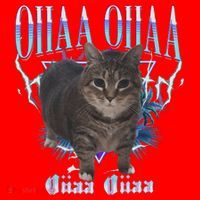 Oiia Oiia Cat Brainrot Santa Hat thumb 1