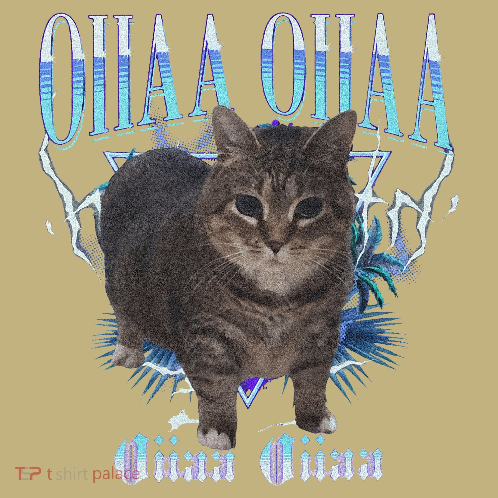 Oiia Oiia Cat Brainrot Hoodie