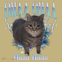 Oiia Oiia Cat Brainrot T-Shirt thumb 7