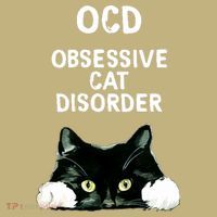 Ocd Obsessive Cat Disorder Animals Black And White Cat Hoodie thumb 7
