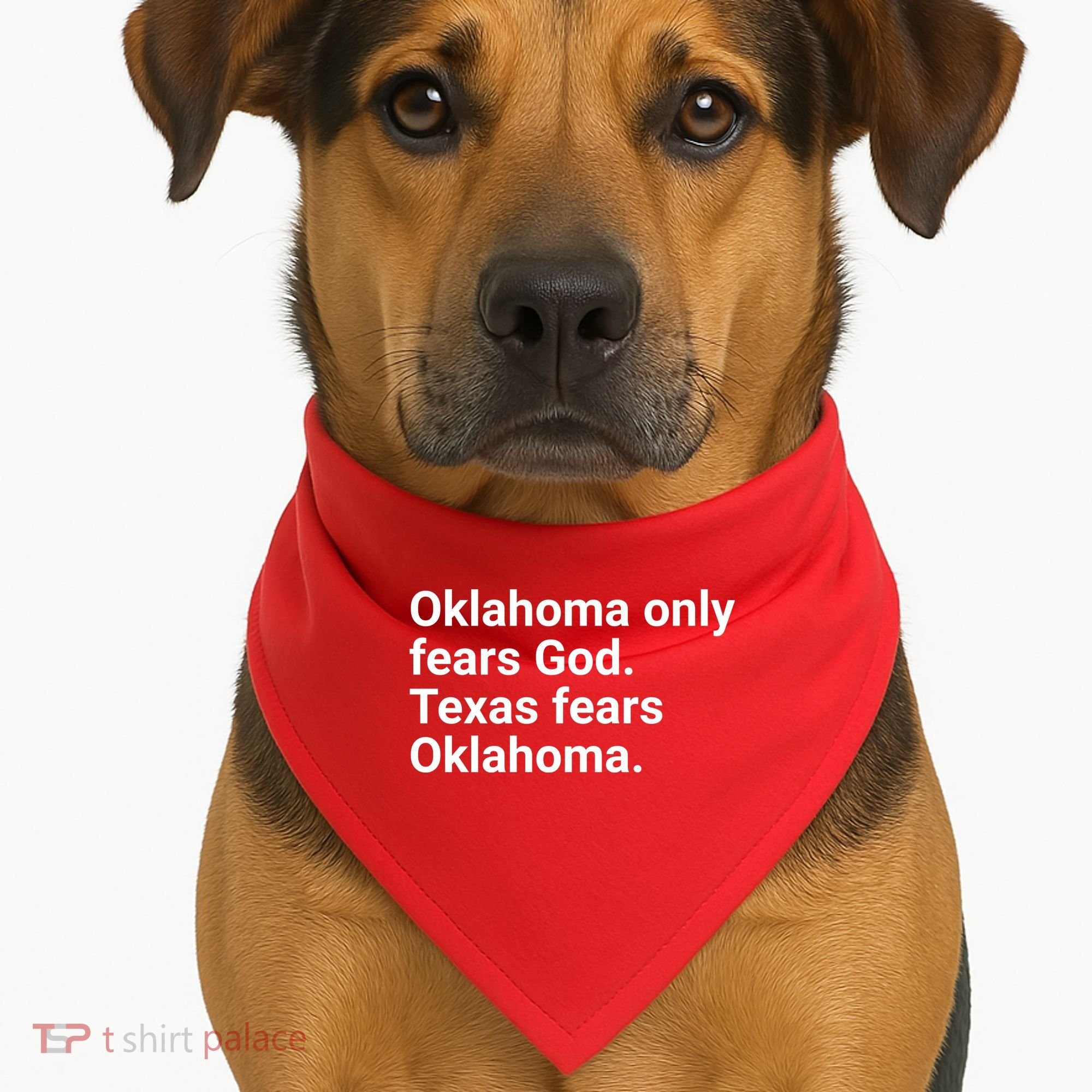 Oklahoma Only Fears God Texas Fears Oklahoma USA-Made Doggie Bandana