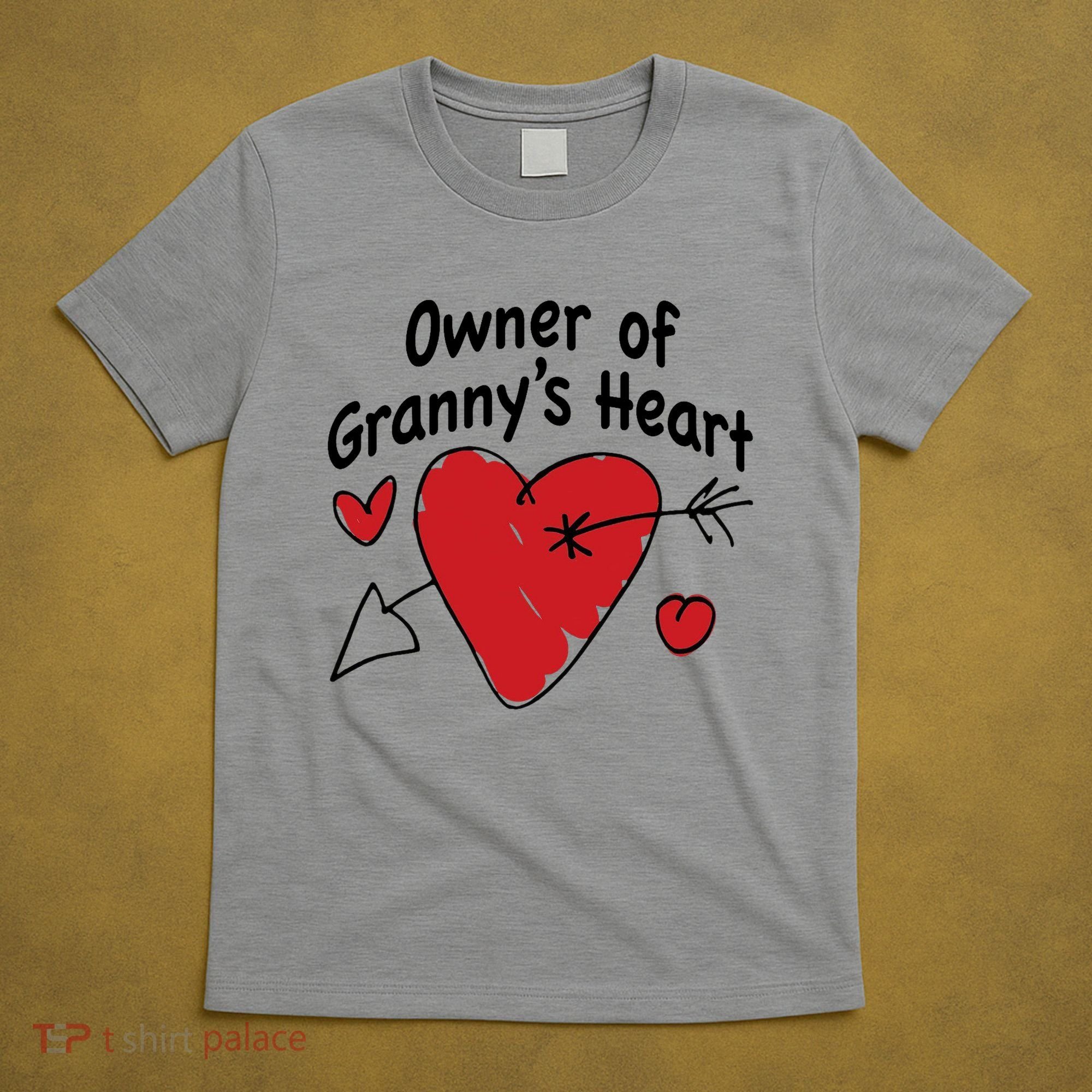 Owner Of Grannys Heart Cute Gift T-Shirt