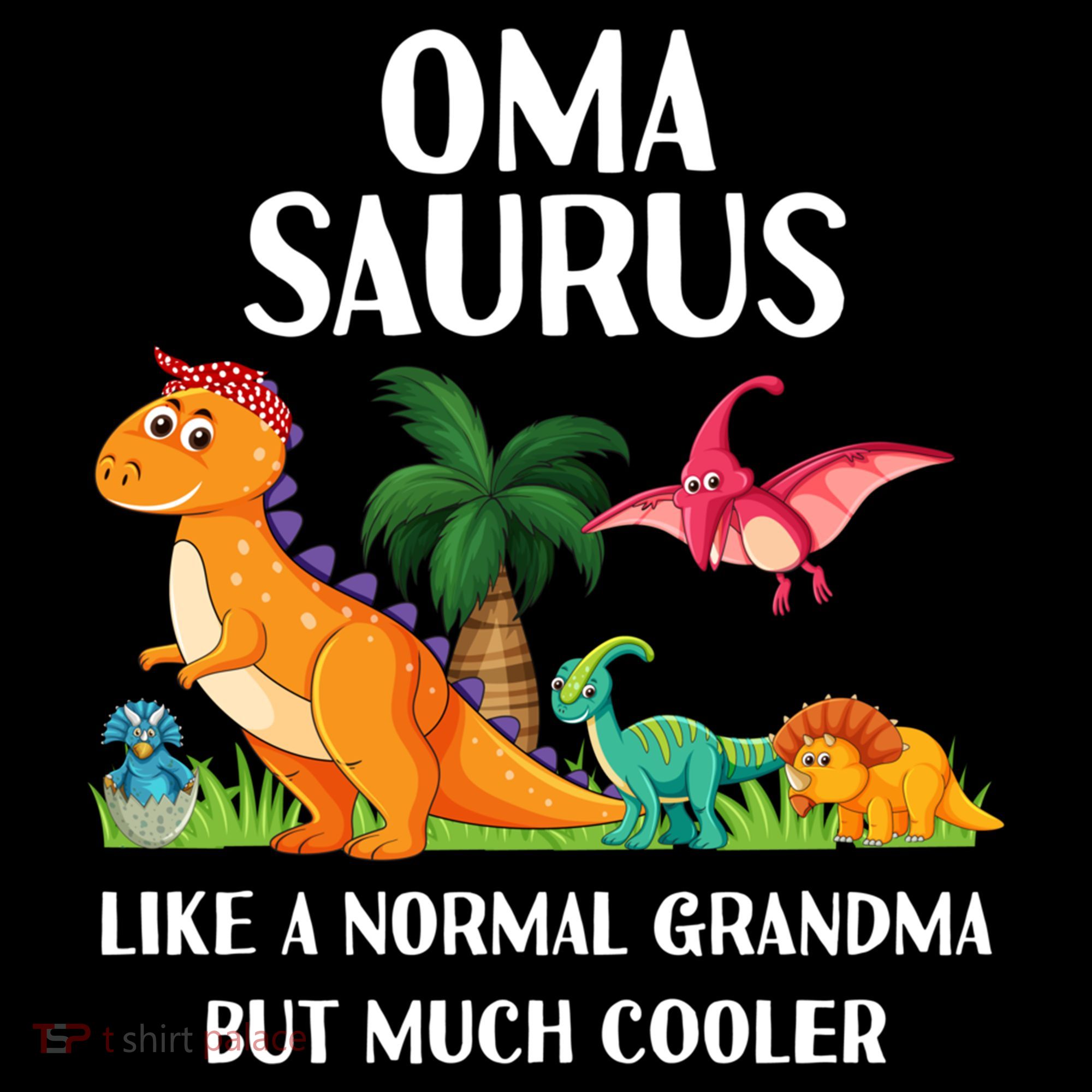 Omasaurus Oma Grandma Saurus Dinosaur Matching Cool Gift Bucket Hat