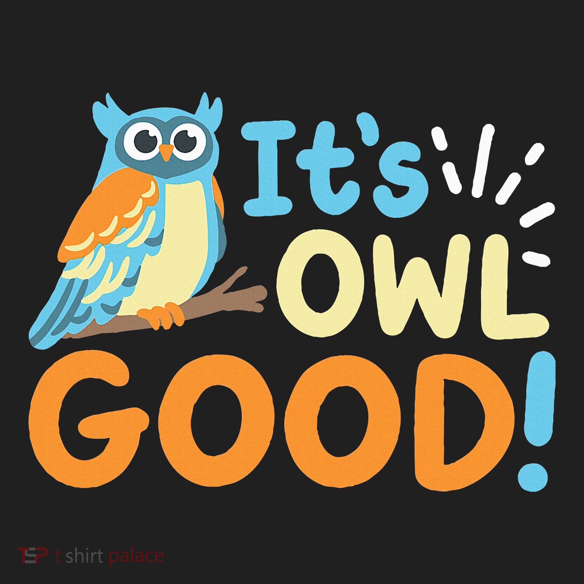 Owl Owls ItS Owl Good Beanie