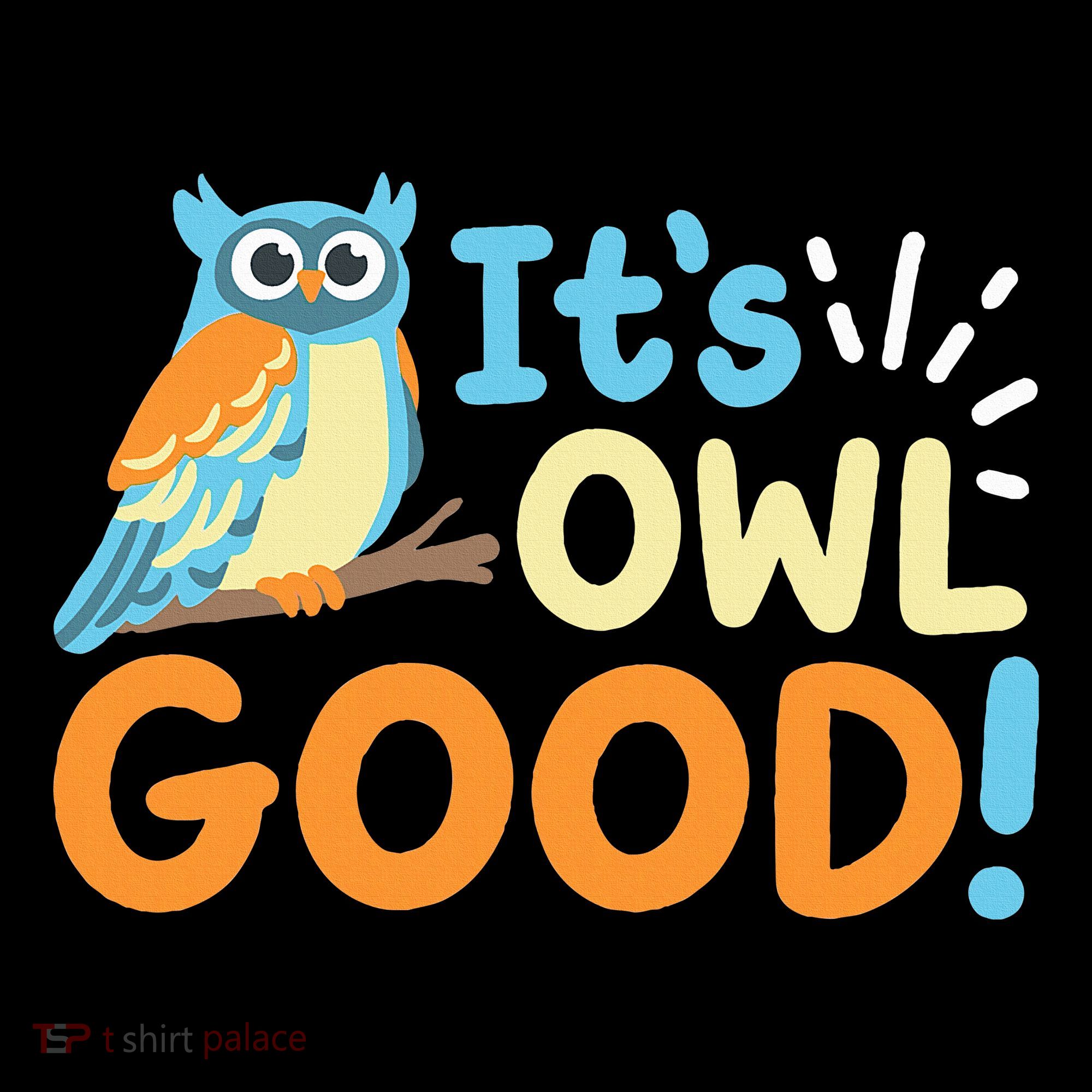 Owl Owls ItS Owl Good Women's Hoodie