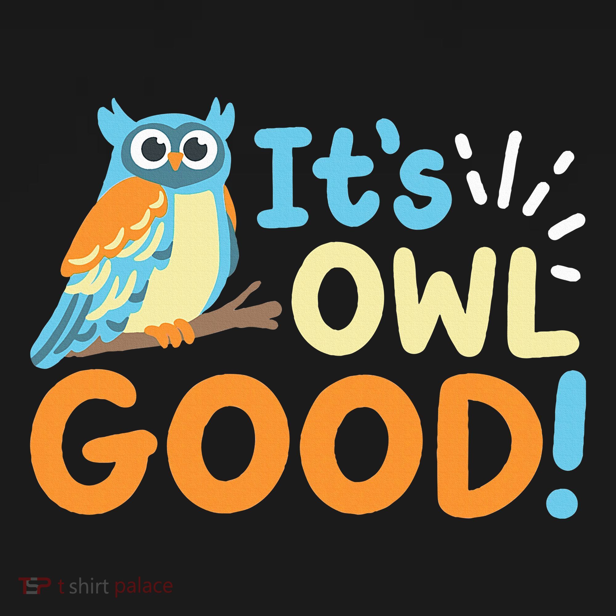Owl Owls ItS Owl Good Kids T-Shirt