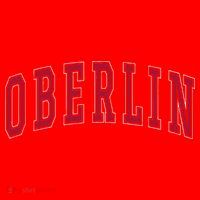 Oberlin Ohio Souvenir College Style Red Text Santa Hat thumb 1