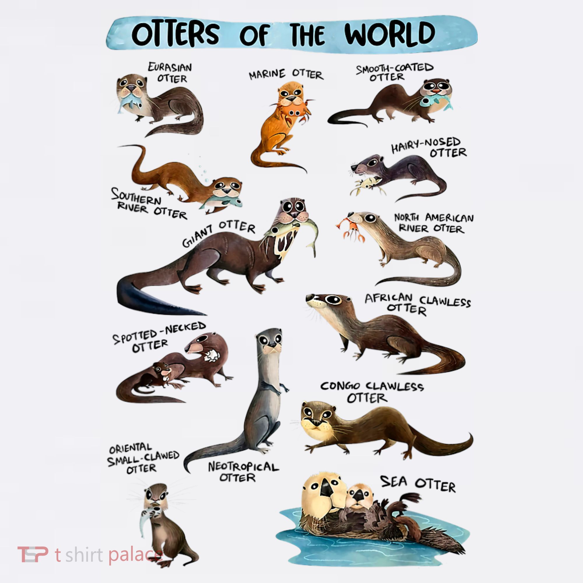 Otters Of The World Sea Otter Giant Otter Lovers Educational T-Shirt
