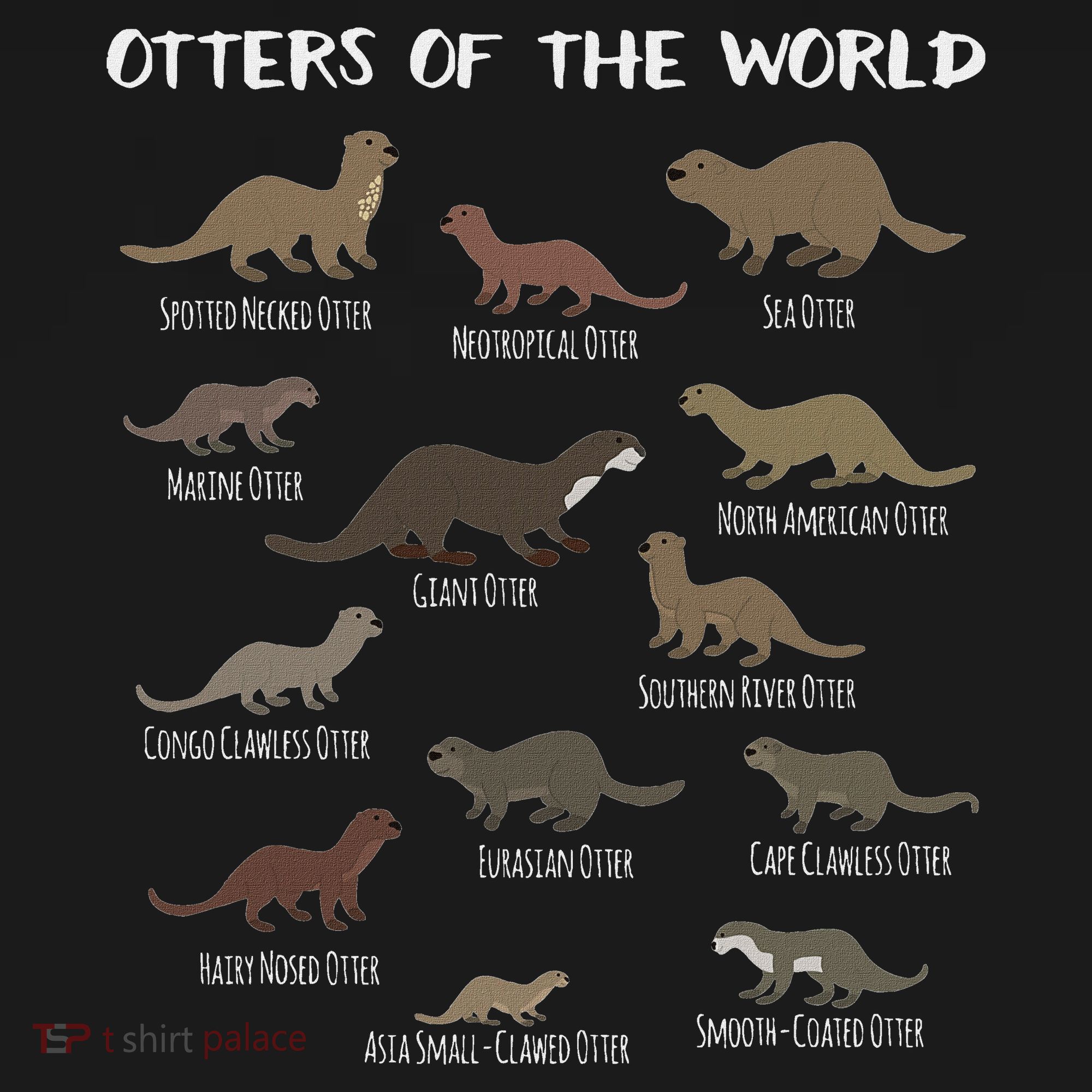 Otters Of The World Sea Otter Giant Otter Educational Gift Mousepad