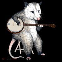 Opossum Playing Banjo Guitar Possum Live Weird Trash Kitty Stripe Pom Pom Beanie thumb 2