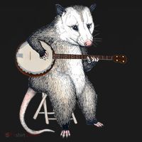 Opossum Playing Banjo Guitar Possum Live Weird Trash Kitty Women's Tank Top thumb 5