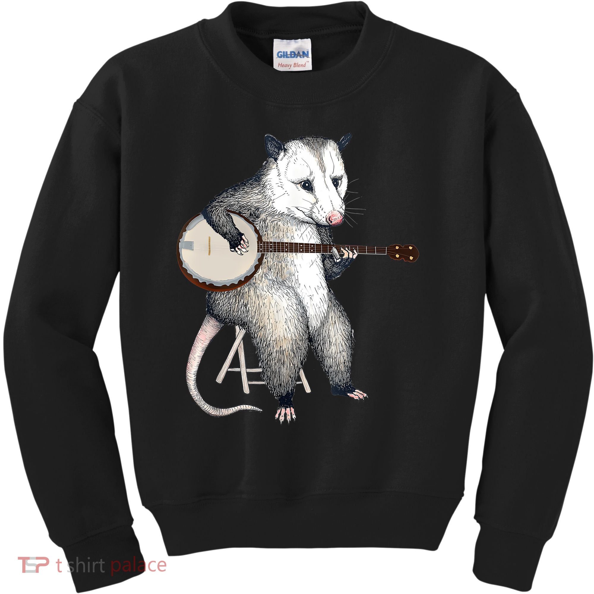 Opossum Playing Banjo Guitar Possum Live Weird Trash Kitty Kids Sweatshirt