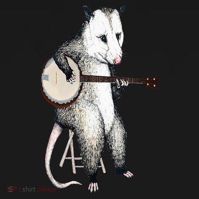 Opossum Playing Banjo Guitar Possum Live Weird Trash Kitty Long Sleeve Shirt