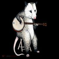 Opossum Playing Banjo Guitar Possum Live Weird Trash Kitty Women's Hoodie thumb 2