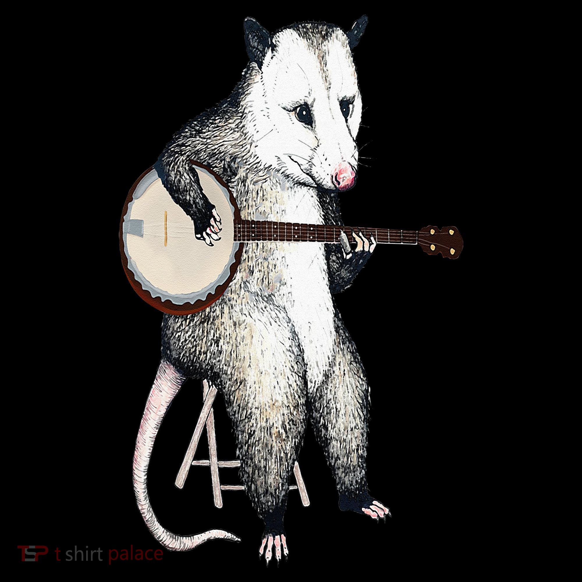 Opossum Playing Banjo Guitar Possum Live Weird Trash Kitty Women's Hoodie